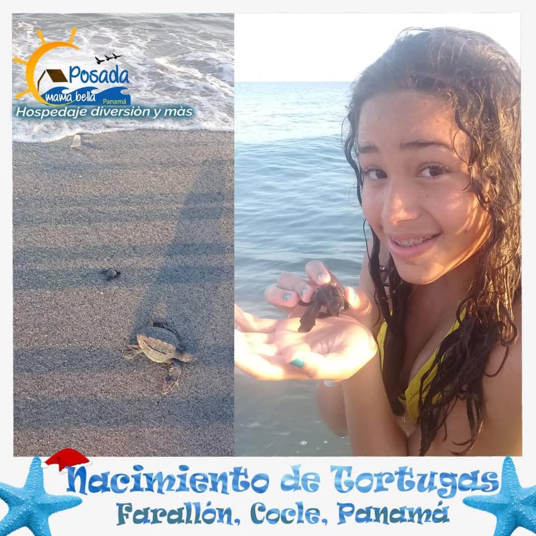 Posada Mama Bella Playa Blanca  Dış mekan fotoğraf